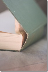 IMG_3140_4104