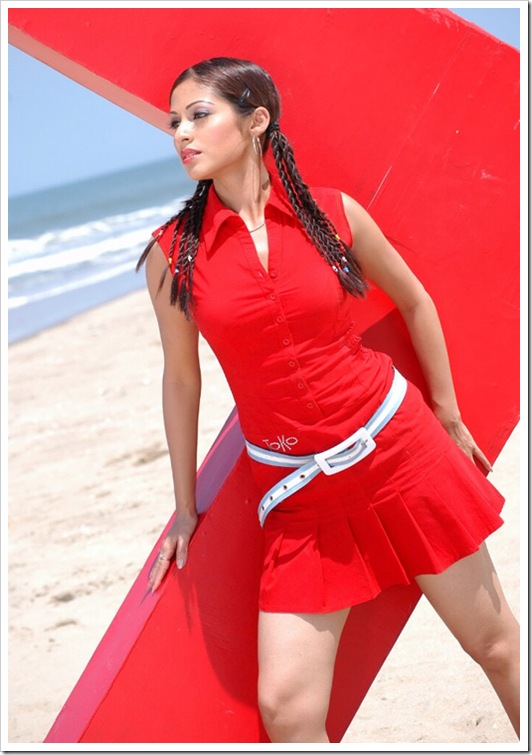sada latest