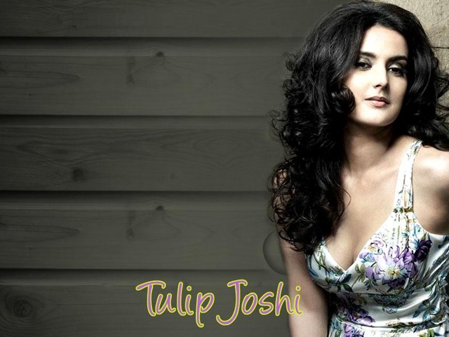 [tulipjoshi04.jpg]
