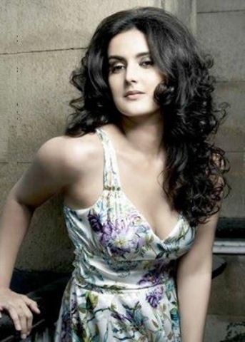[tulipjoshi368.jpg]