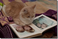 kat