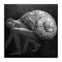[ hermit escape ]