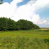 20100717107.jpg
