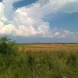 20100717108.jpg