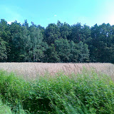 20100717116.jpg