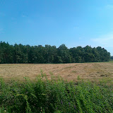 20100717115.jpg