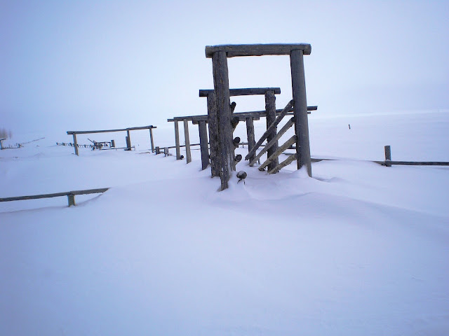 IMAGE: http://lh4.ggpht.com/_8DHKkoXVRtY/SeF1KK1mYFI/AAAAAAAAIGE/9_xvu8Zx-54/s640/RC%27s%20Pics%20374-1.jpg