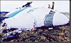 _718307_fuselage300