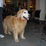 Sniff & Mingle 2009
