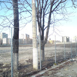 DSC00188.JPG