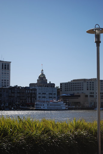 the estate of things chooses savannah