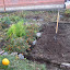 CookStGarden's Plot 1 garden