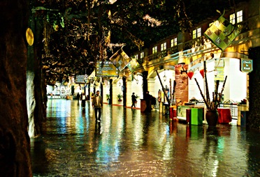 SONY DSC