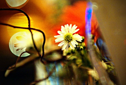 SONY DSC