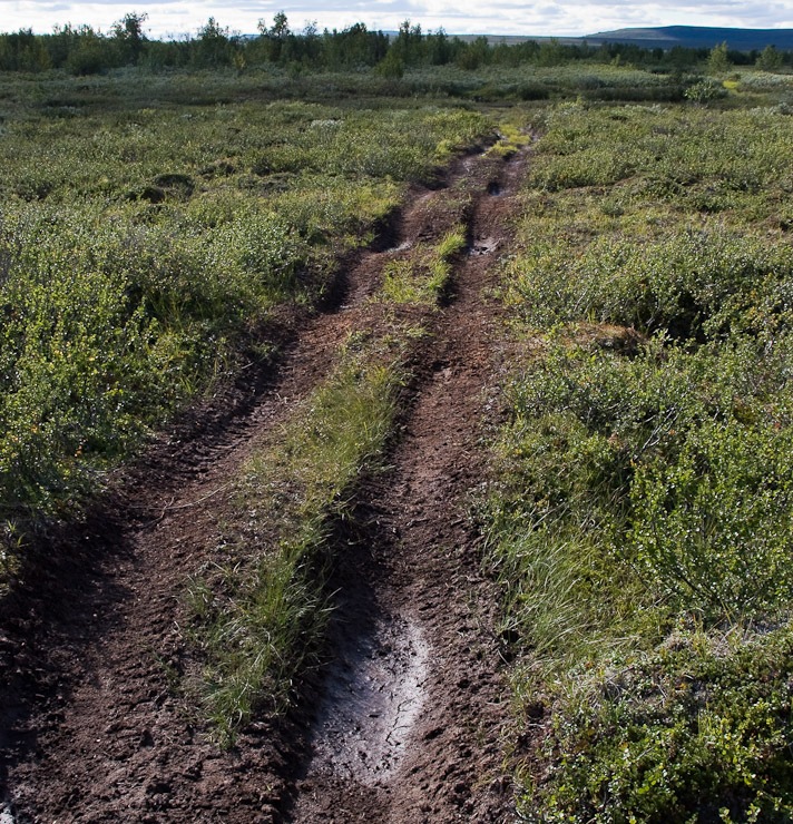 [20070821-_MG_2429[4].jpg]