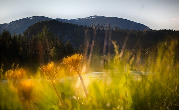 _MG_1800-Edit