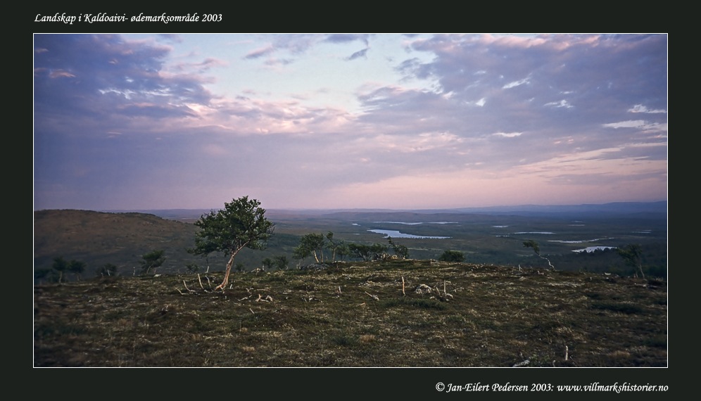 [kaldoaivi (1)[5].jpg]
