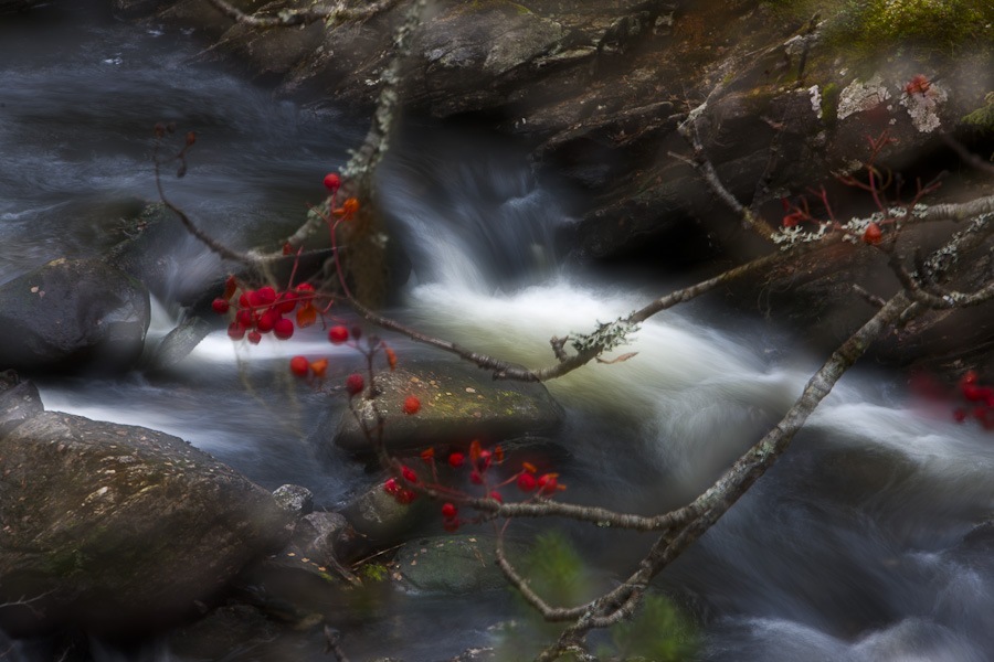 [_B6X9863-Edit.jpg]