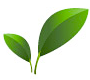 2009-09-28_2340.png
