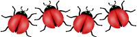 lady-bug-red-border-h lady-bug-red-border-h