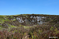 IMG_2687.JPG (Oldboleys, County Wicklow, Ireland) Photo