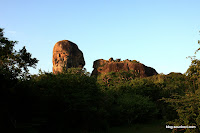 2010_12_17 Yala National Park 014.JPG Photo