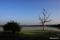 2010_12_17 Yala National Park 025.JPG Photo