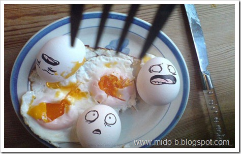 egg6