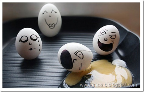 egg15