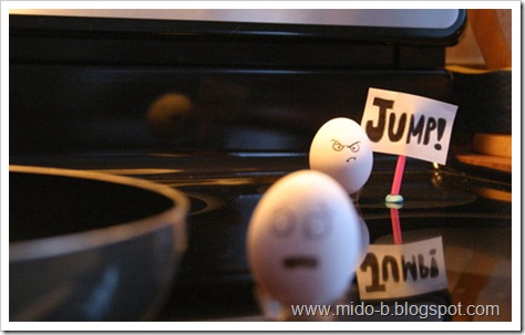 egg19