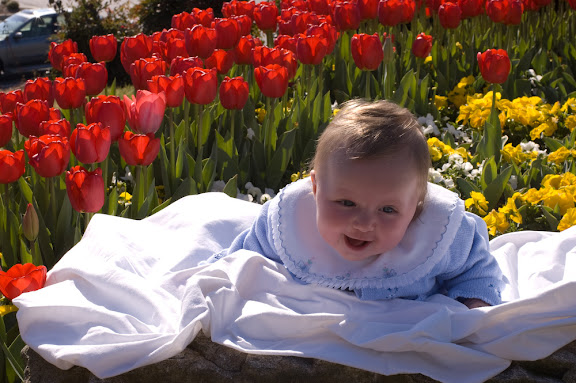 Sam slept too late for us to get to Mass one morning, so we got her prettied up, and took advantage of the tulips around here.