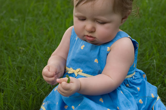 But the grass is interesting to play with at least...