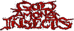 God Among Insects