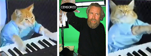 Link to Investigation into Keyboard Cat continues (PIC)
