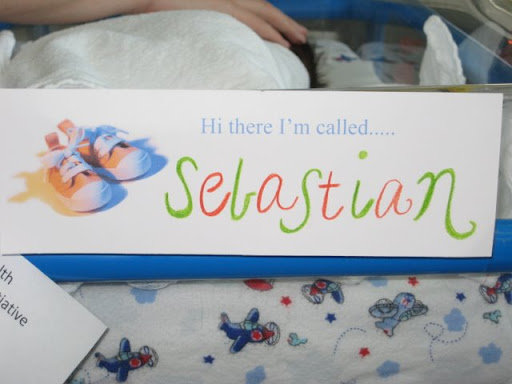 Sebastian's Official Cool Name Plaque