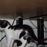 filou0006.jpg