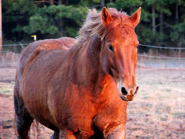 [Odin201001175.jpg]