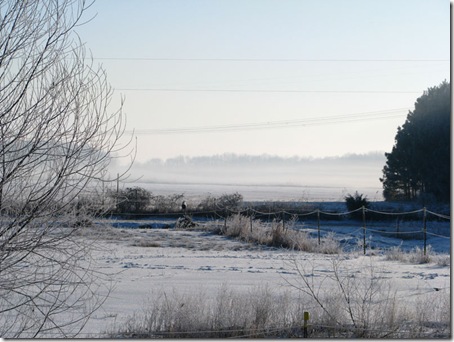 wintermorningfog