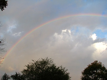 20101024rainbow