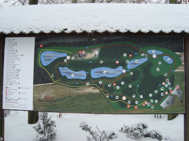 Nowa mapa zoo