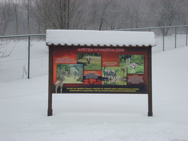Afryka w Nowym Zoo? Tylko wiosną i latem!
