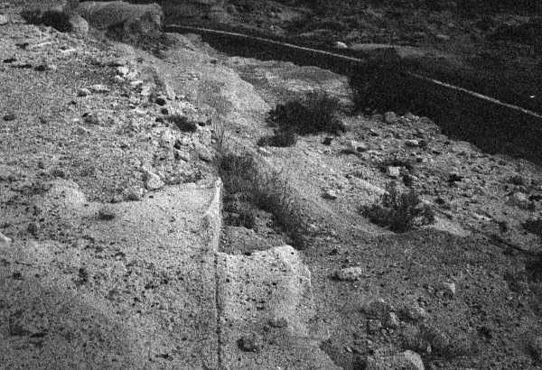 [arico_02_02_09025x49_[3].jpg]