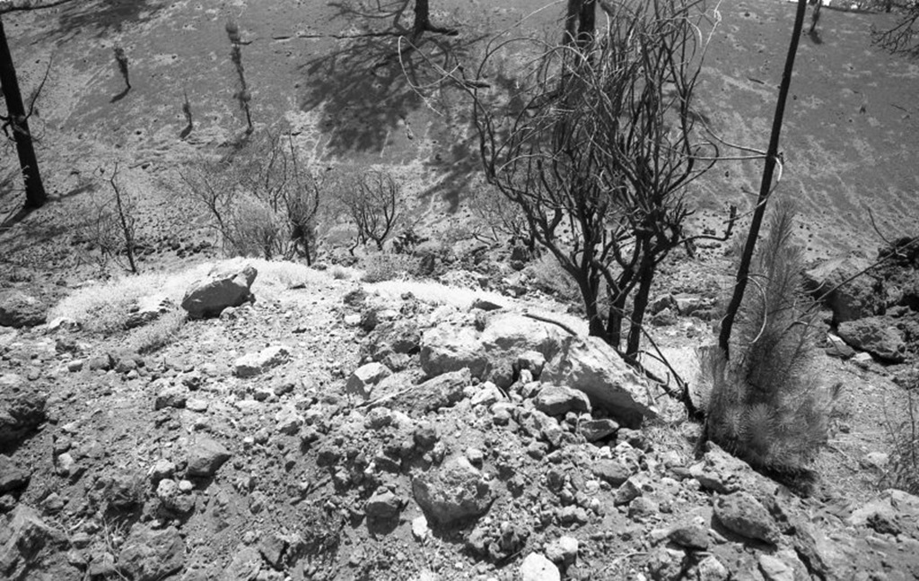 [voigtlander_teide_011_10[4].jpg]