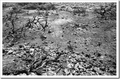 voigtlander_teide_024_23