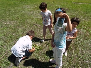 [Seminari_Paisatge_Educació[9].jpg]