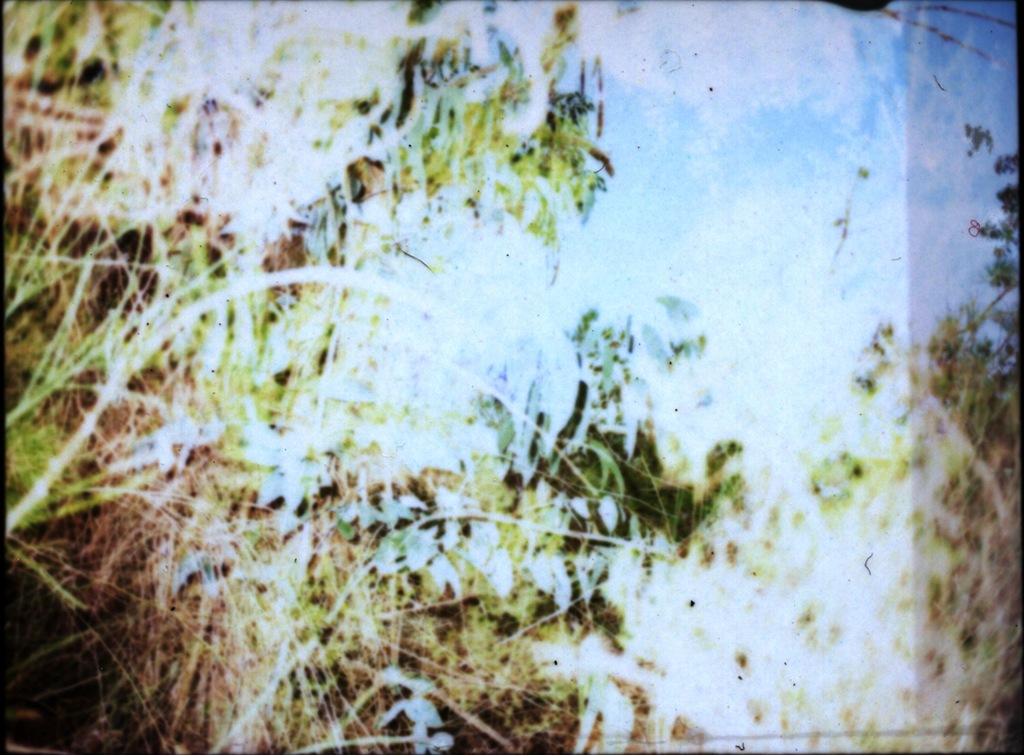 [645_pro_tl_polaroid_007[4].jpg]