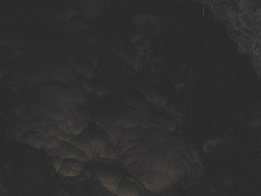 All Lights Co.