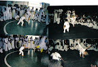 capoeira capoeira pictures