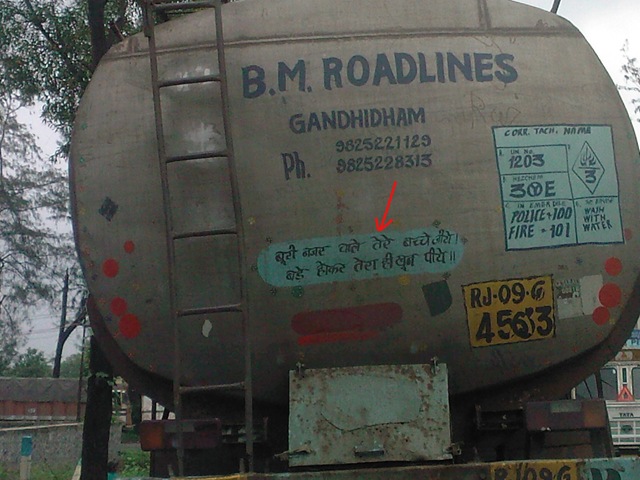 [bache8.jpg]