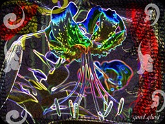 100_3064 100_3064